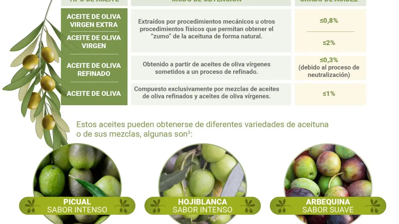 Aceite de oliva, un aceite vegetal, se clasifica por su obtención y acidez. Se muestran variedades como Picual, Hojiblanca y Arbequina.