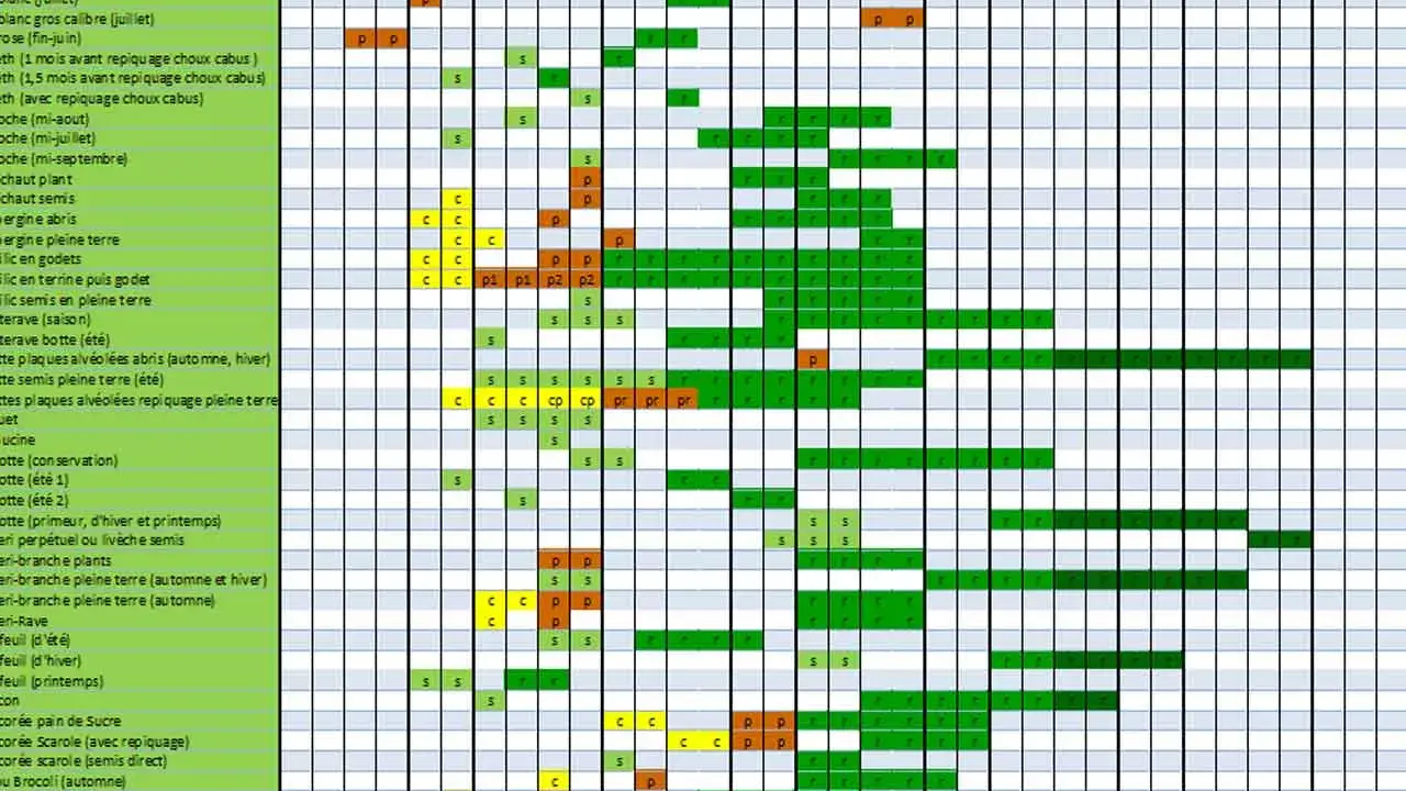 Calendrier de l'association potager : semis et plantation des légumes de janvier à décembre.