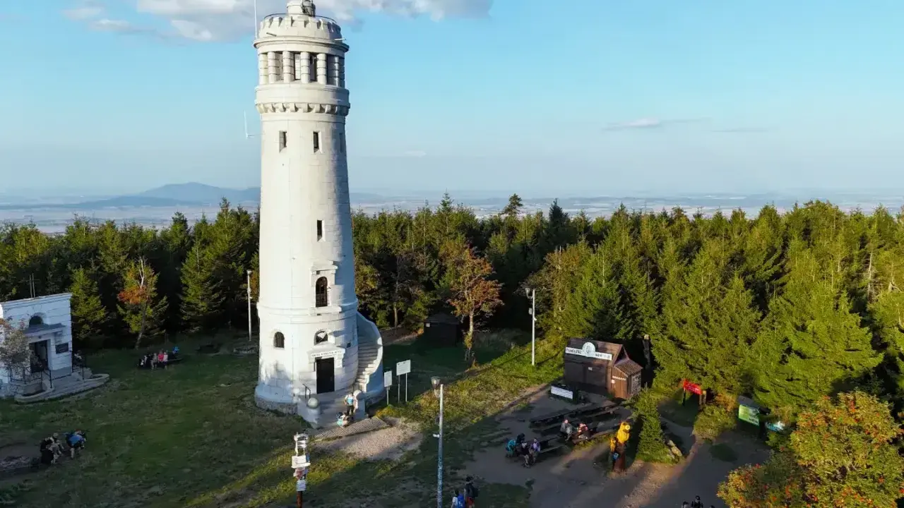 Wieża widokowa na szczycie góry, otoczona lasem. To popularne miejsce, gdzie zaczyna się wielka sowa trasa turystyczna.