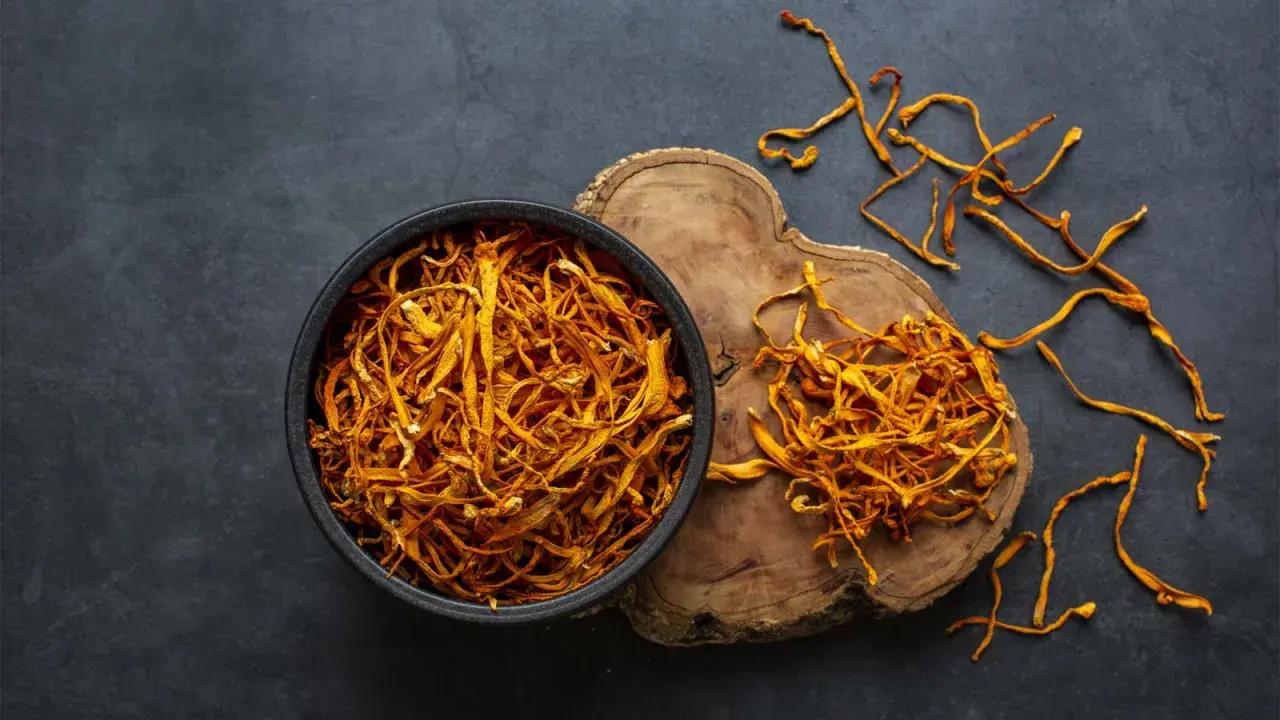 Un bol de cordyceps séchés, connus pour leurs nombreux bienfaits, est posé sur un fond sombre. Quelques brins dorés s'échappent du bol.