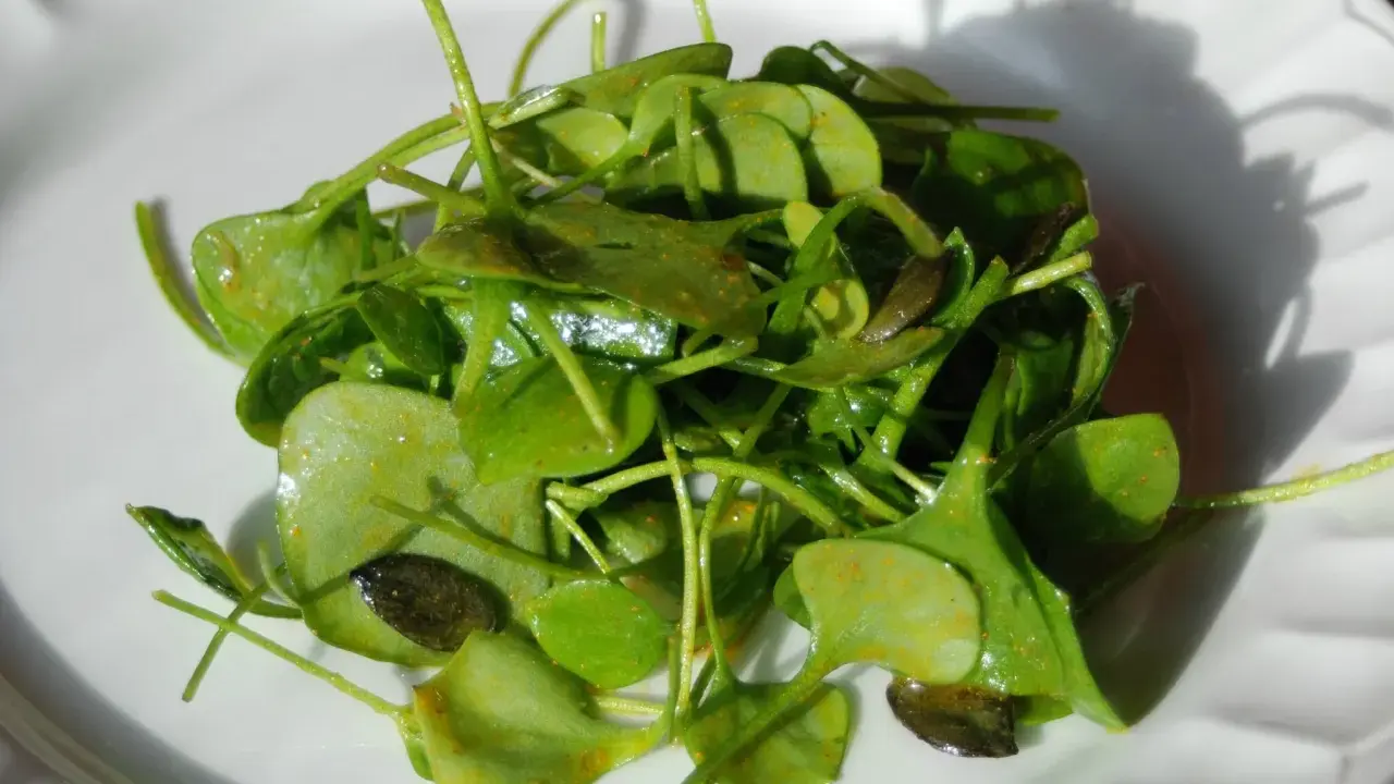 Salade de claytone de Cuba, fraîche et croquante, assaisonnée d'épices.