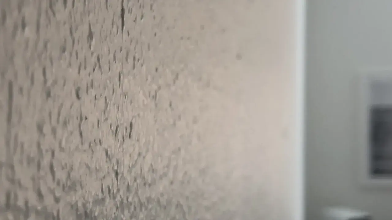 Närbild på en vägg där man har bredspacklat på tapet. Ytan är ojämn och texturerad.