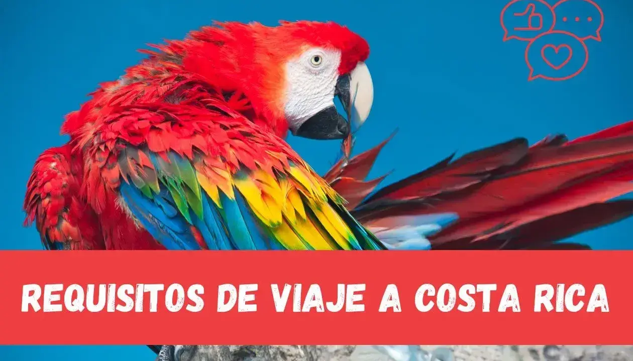 Kolorowa ara na niebieskim tle, z napisem "REQUISITOS DE VIAJE A COSTA RICA".
