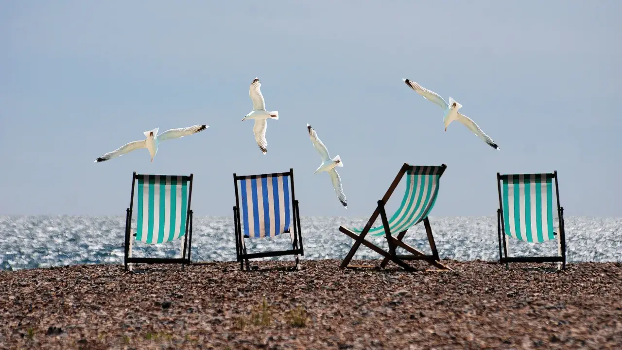 Plaża z leżakami i mewami w locie. Czy urlop przechodzi do nowej pracy?