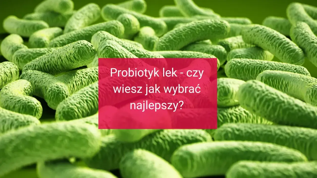 Wizualizacja bakterii, tło dla informacji o probiotyk dla dorosłych. Czy wiesz, jak wybrać najlepszy?