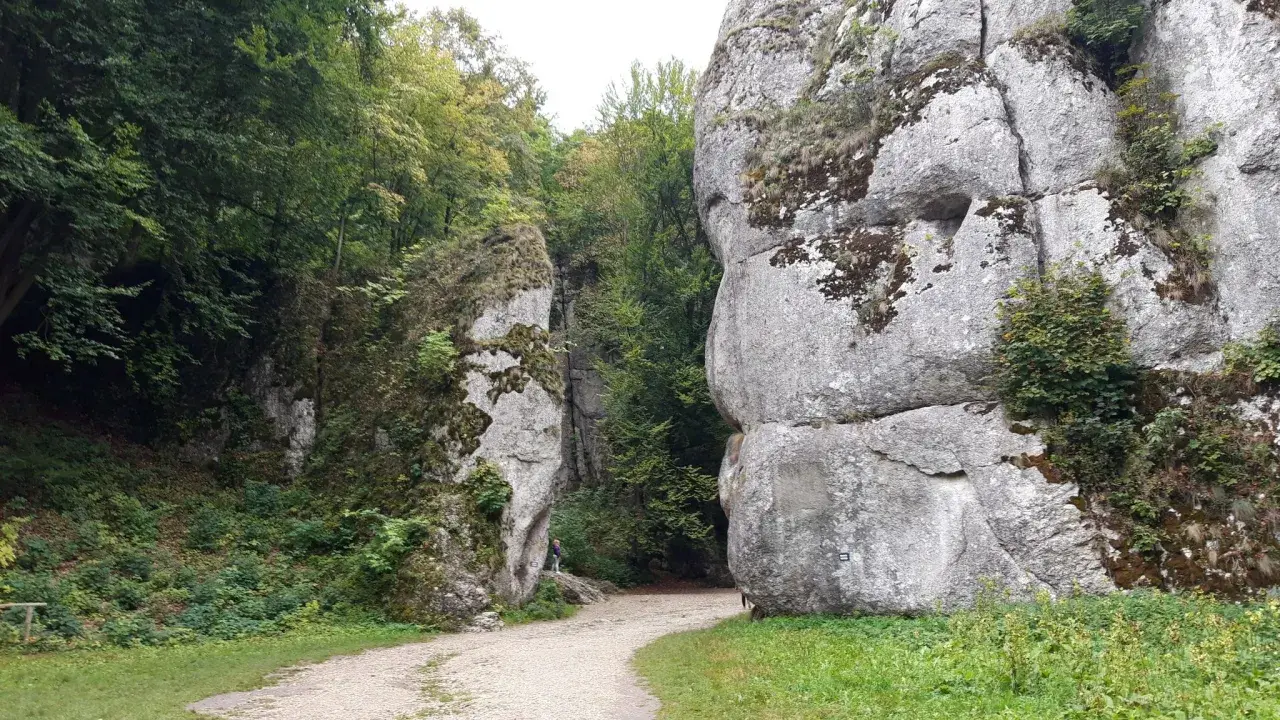 Kamieniste ścieżki w Ojcowski Park Narodowy prowadzą między wapiennymi skałami porośniętymi mchem i zielenią.