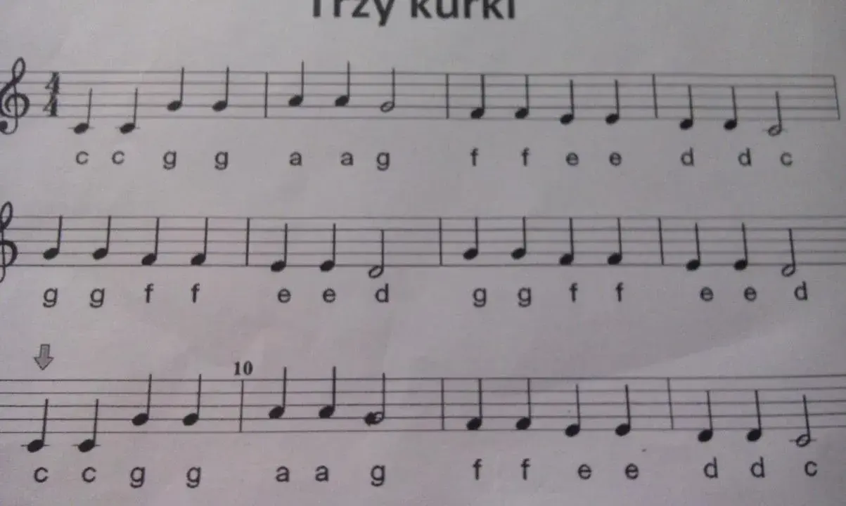 Wlazł kotek na płotek na flecie: Zagraj to dziś! Prosty poradnik.