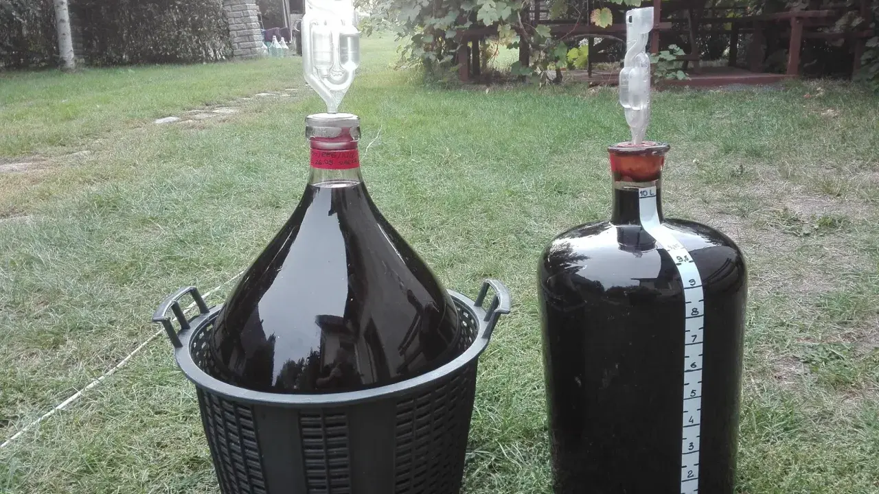 Ile drożdży na 5l wina? Klucz do idealnej fermentacji!