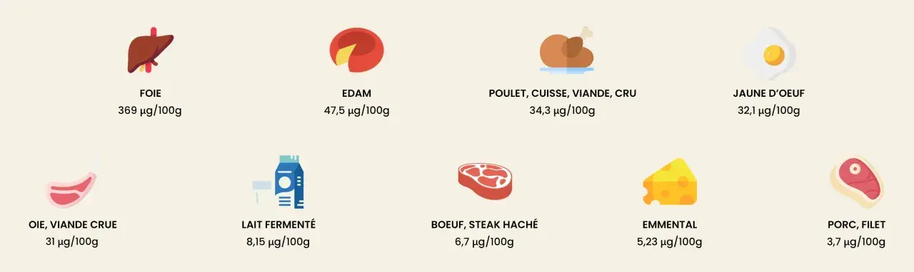 Le foie est le champion de la vitamine K2, suivi par l'Edam et le poulet. D'autres aliments comme le jaune d'œuf et le lait fermenté en contiennent aussi.