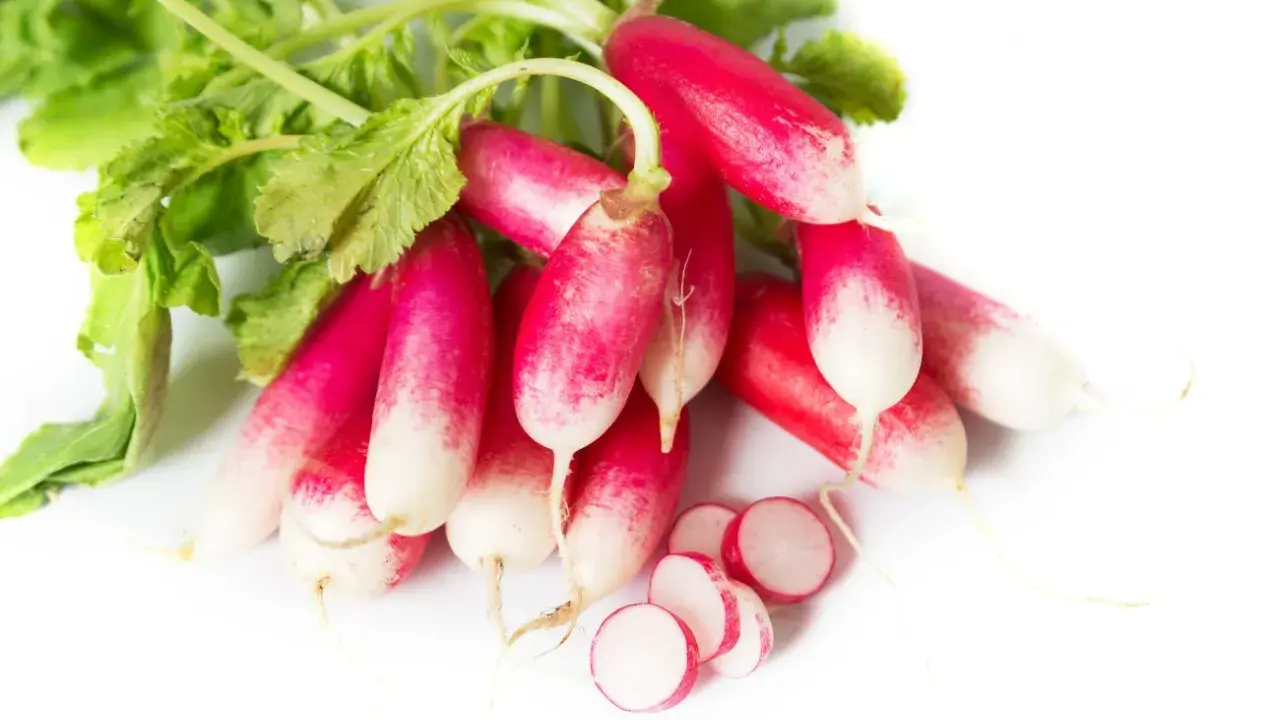 Un bouquet de radis de 18 jours, aux couleurs vives rose et blanc, avec quelques rondelles coupées.