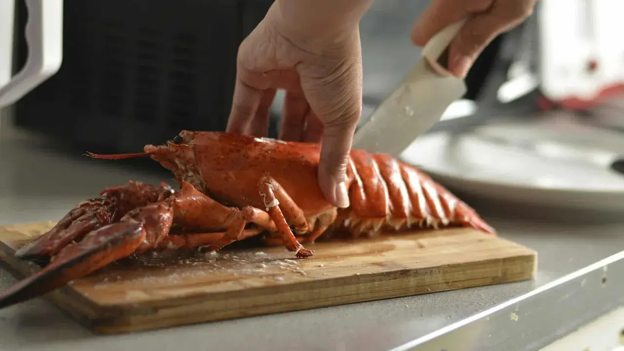 Hand schneidet gekochten Hummer für ein Hummer-Rezept auf einem Holzbrett.