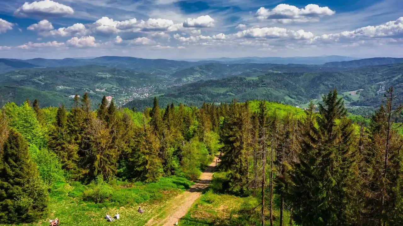 Piękny widok na Beskid Śląski z lasem iglastym i polaną, gdzie odpoczywają ludzie. W oddali widać góry i miasteczko.