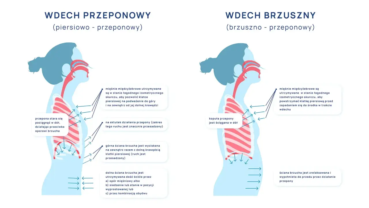 Ilustracja pokazuje dwa rodzaje wdechu: piersiowo-przeponowy i brzuszno-przeponowy. W obu przypadkach kluczowe jest **oddychanie przeponowe**, które angażuje przeponę do głębszego wdechu.
