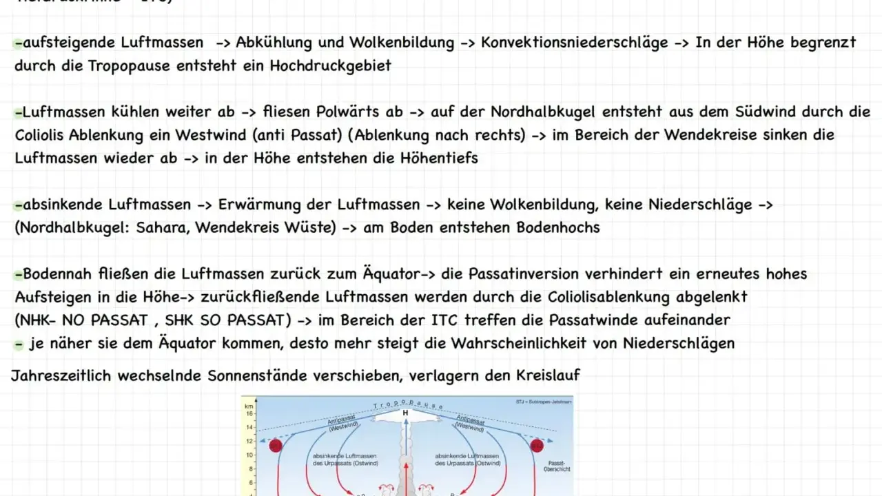 Schema des Passatkreislaufs, erklärt im Erdkunde Unterricht. Zeigt aufsteigende und absinkende Luftmassen, ITC und Passatinversion.