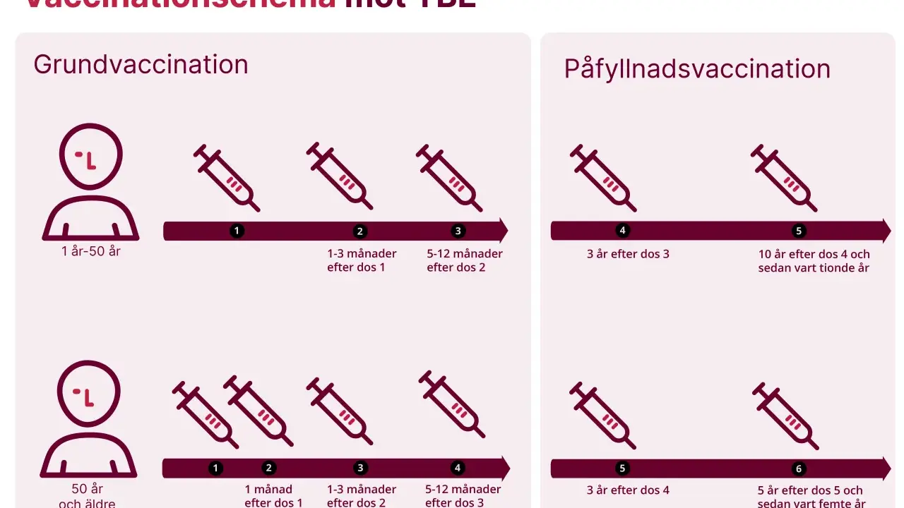 Schema för TBE-vaccination i Västerbotten. Grundvaccination och påfyllnadsdoser visas för olika åldrar.