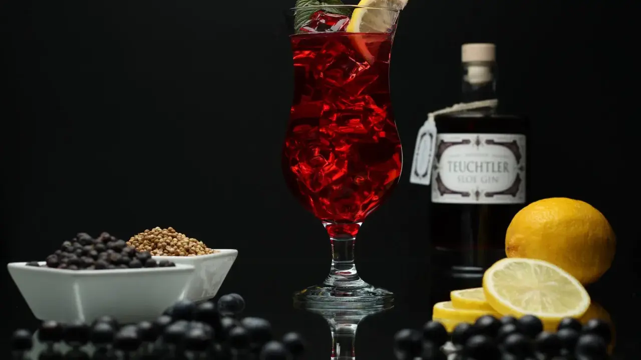 Ein erfrischender Sloe Gin Fizz mit Zitrone und Minze, umgeben von Schlehen und Wacholderbeeren.