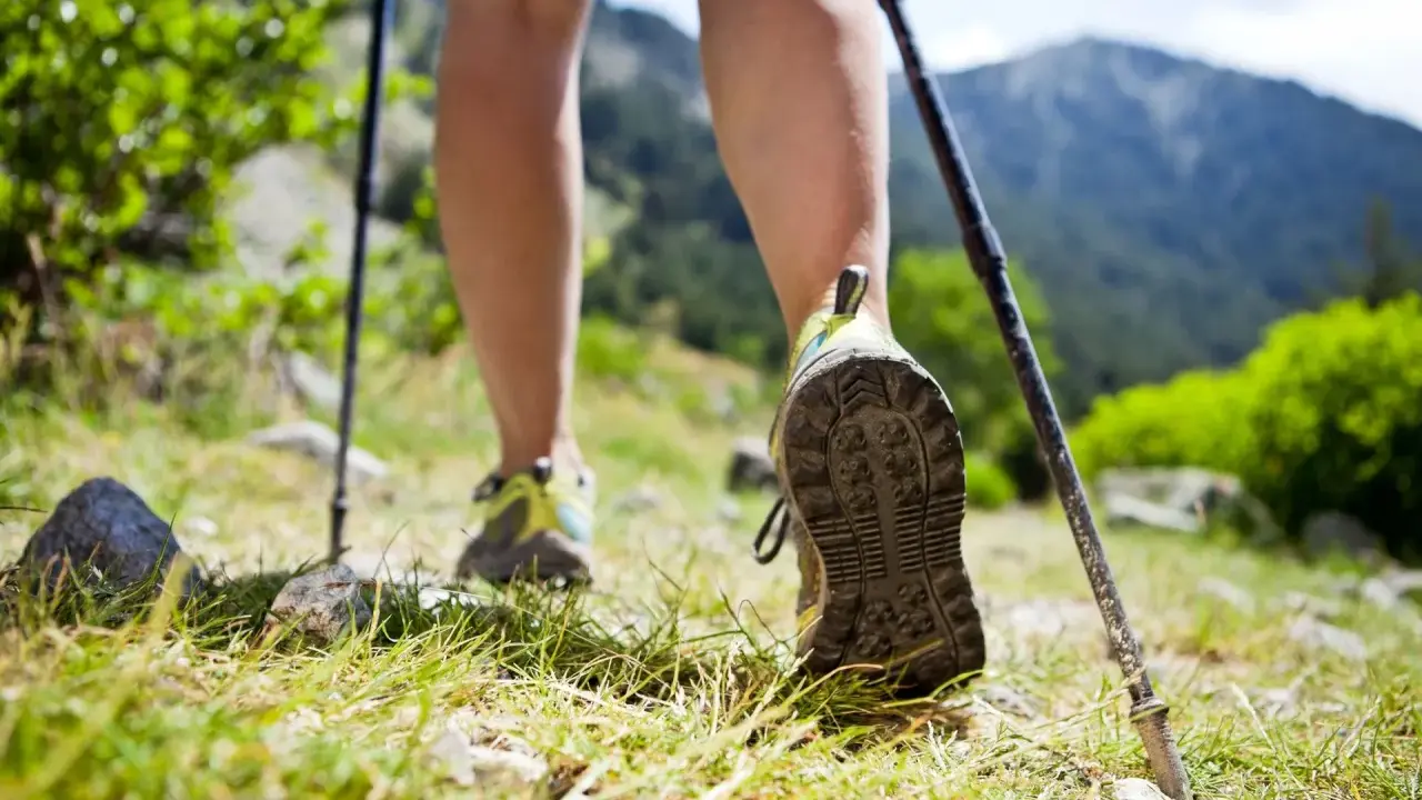 Nogi w butach trekkingowych i kijki wspierają chodzenie po górskim szlaku.