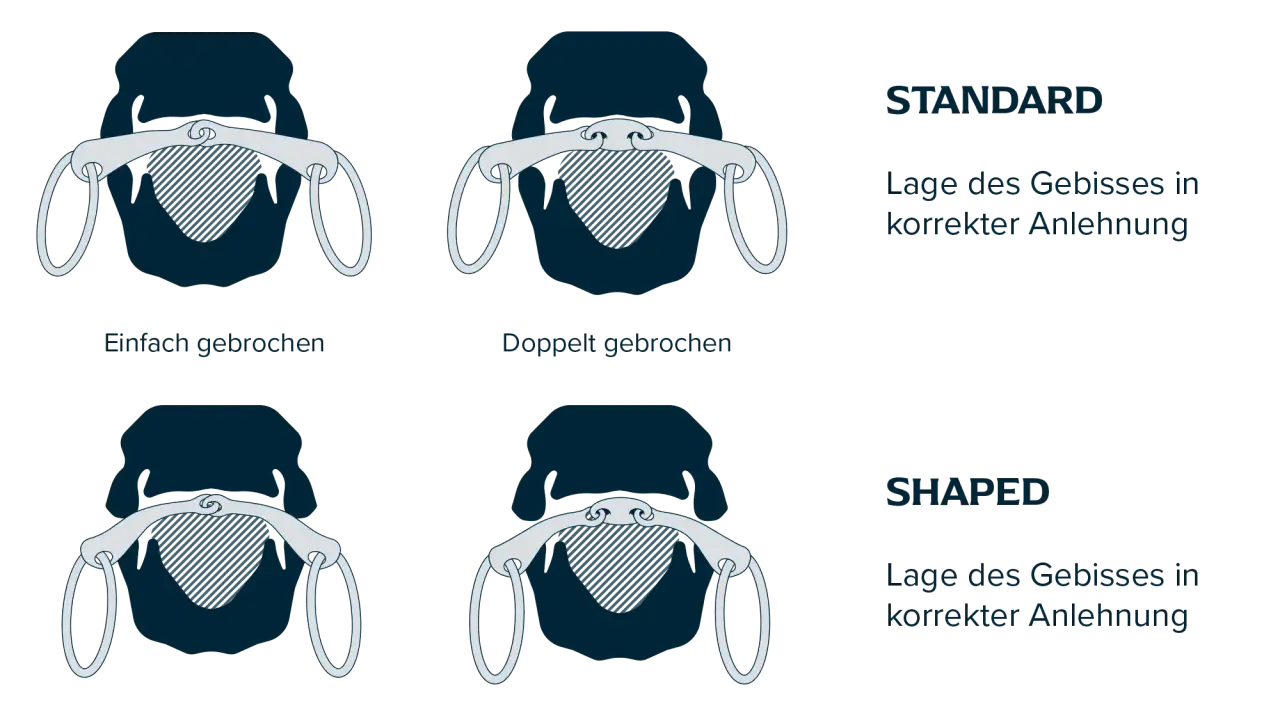 Vergleich von einfach oder doppelt gebrochenem Gebiss in Standard- und Shaped-Ausführung für korrekte Anlehnung.