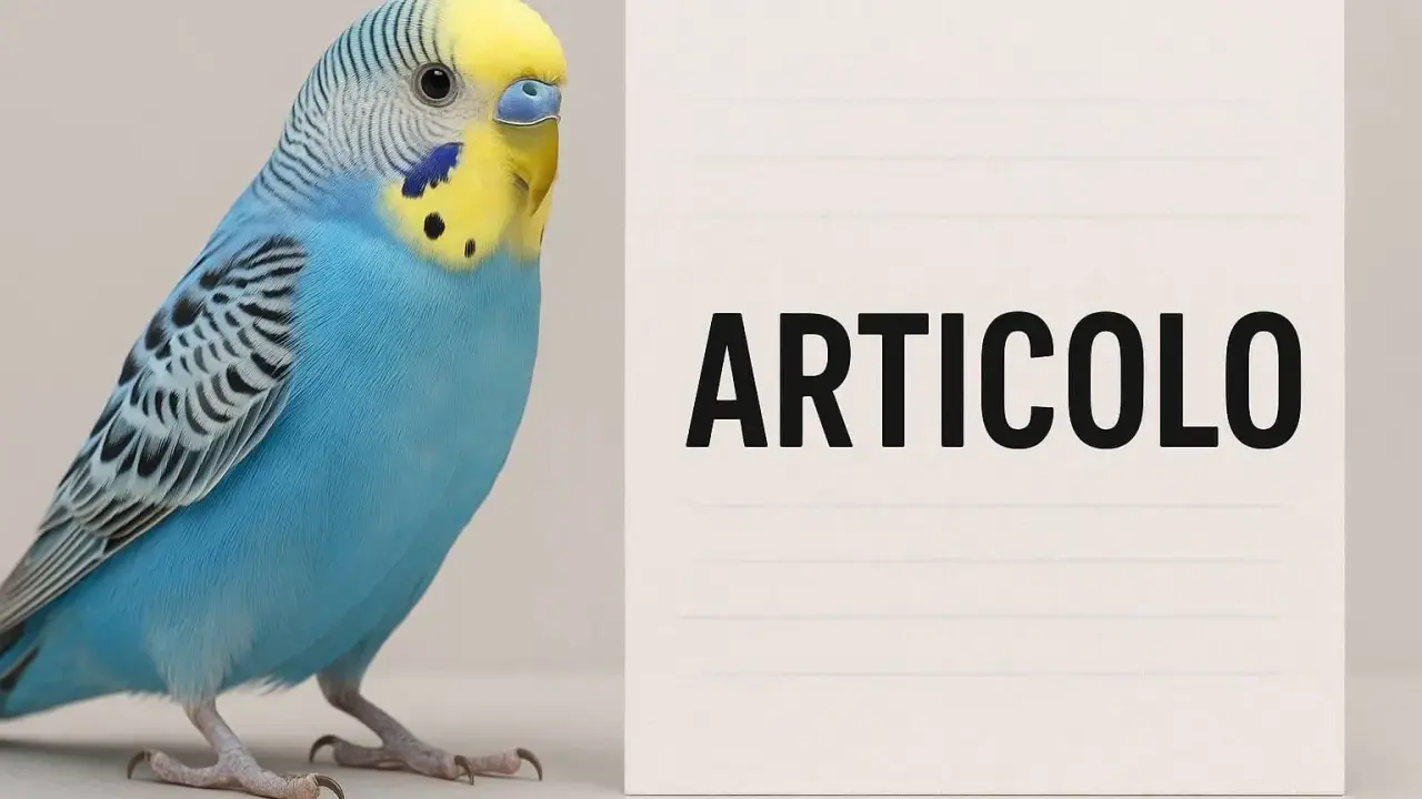Una cocorita blu e gialla accanto a un foglio con la scritta "ARTICOLO". Potrebbe trattarsi di un articolo sull'accoppiamento cocorite consanguinei.