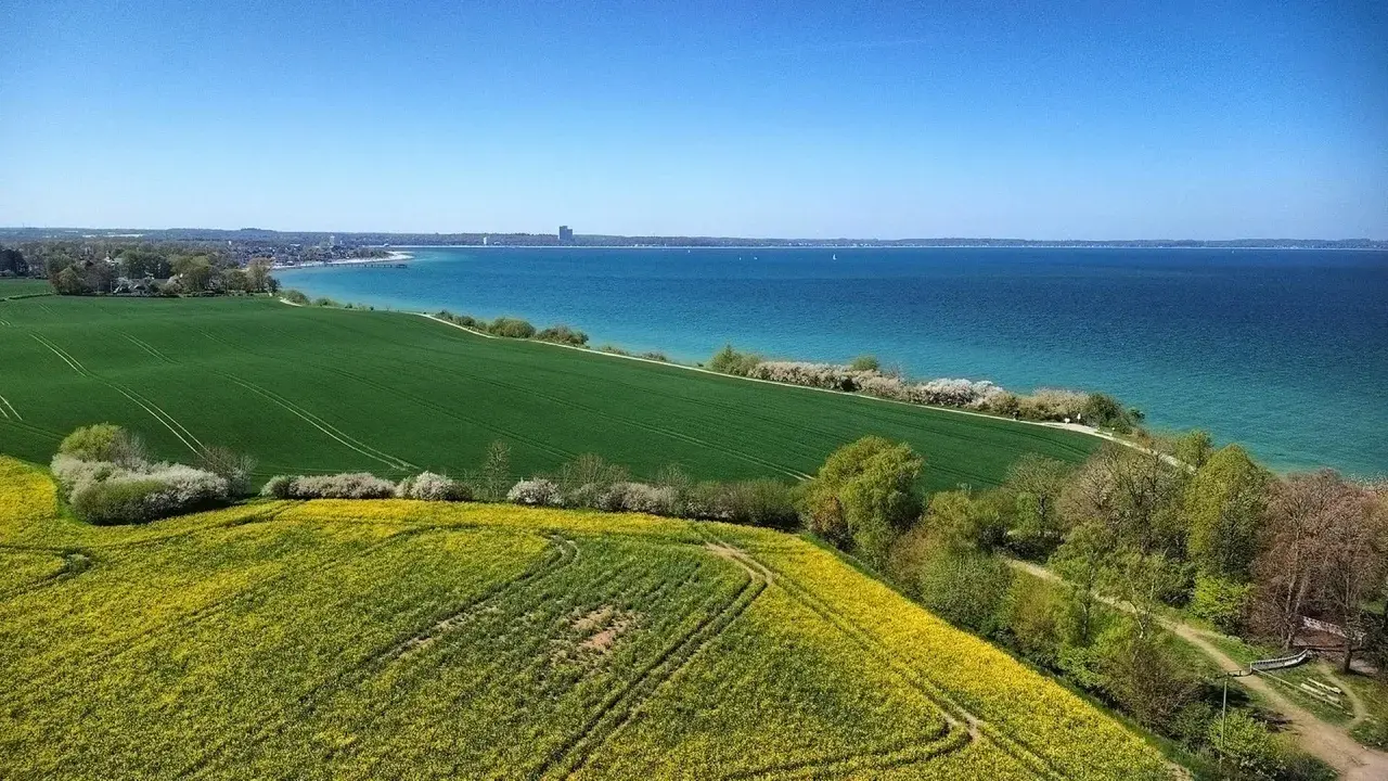 Grüne Felder und Rapsblüten vor der blauen Ostsee und Küstenlinie der Lübecker Bucht.