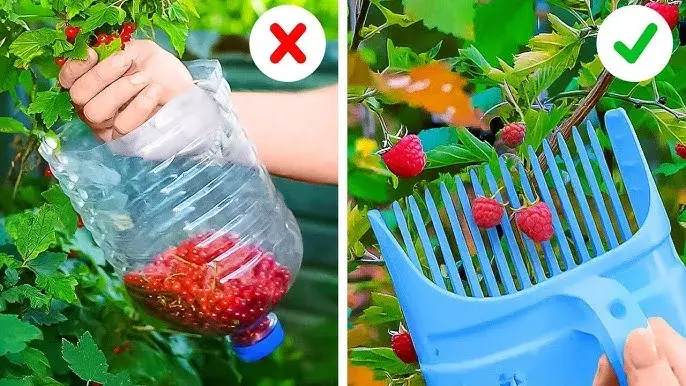 Sekrety bujnych kwiatów: Domowe triki, które odmienią Twój ogród!