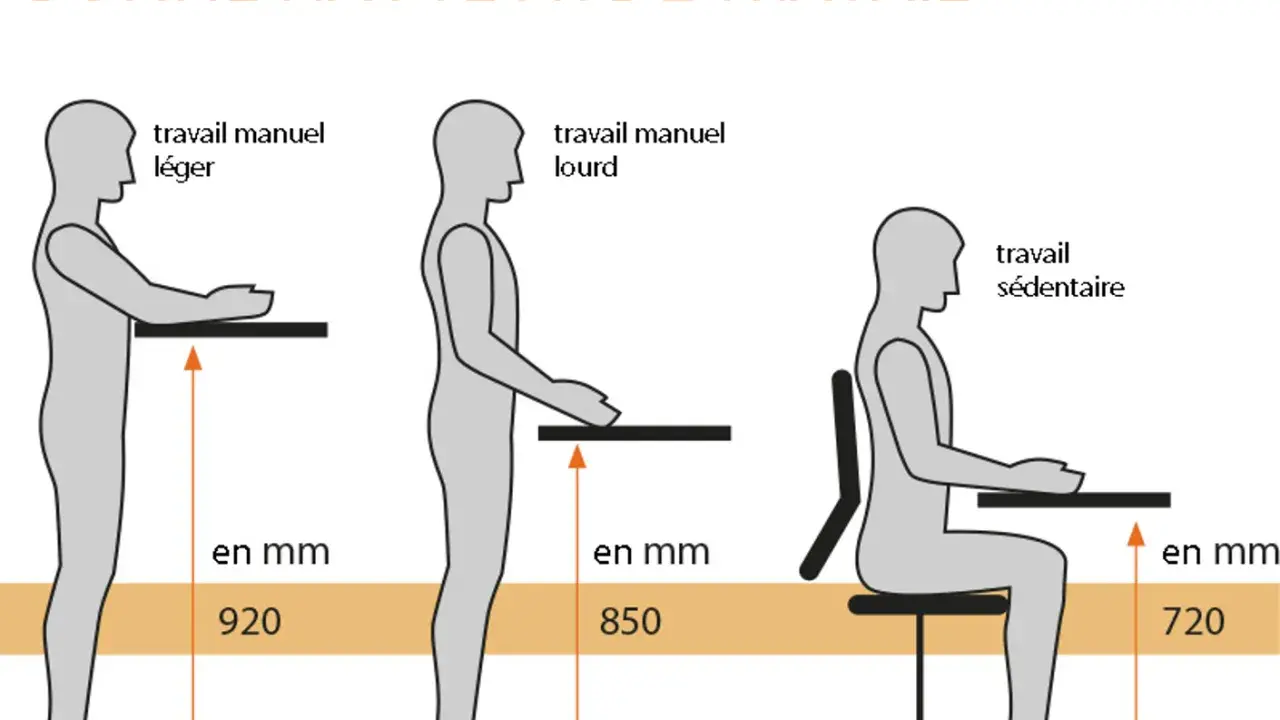 Illustration montrant la hauteur idéale pour le travail manuel léger (920 mm), le travail manuel lourd (850 mm) et le travail sédentaire (720 mm) pour une personne assise.