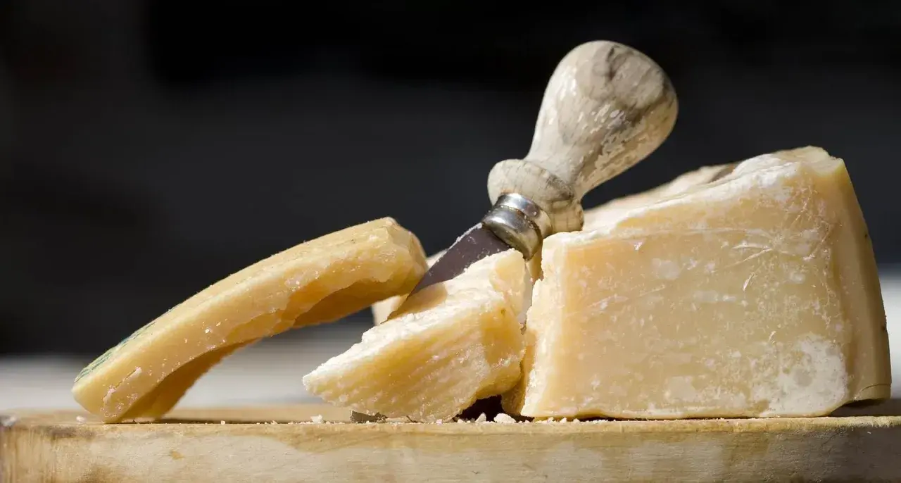 Ser halloumi: kalorie, białko i dieta jeść czy unikać?