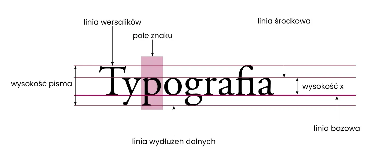 Typografia przykłady: linia bazowa, wysokość pisma, linia wersalików i śródkowa.