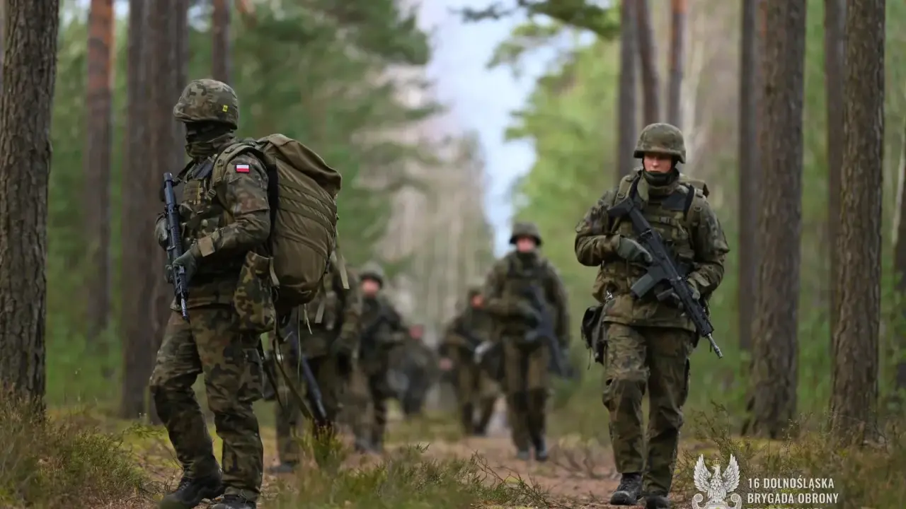 Z WOT do wojska zawodowego: Twój przewodnik po karierze w armii