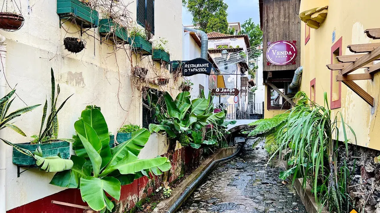 Idyllischer Wasserlauf in der madeira funchal altstadt, umgeben von üppiger Vegetation und bunten Häusern.