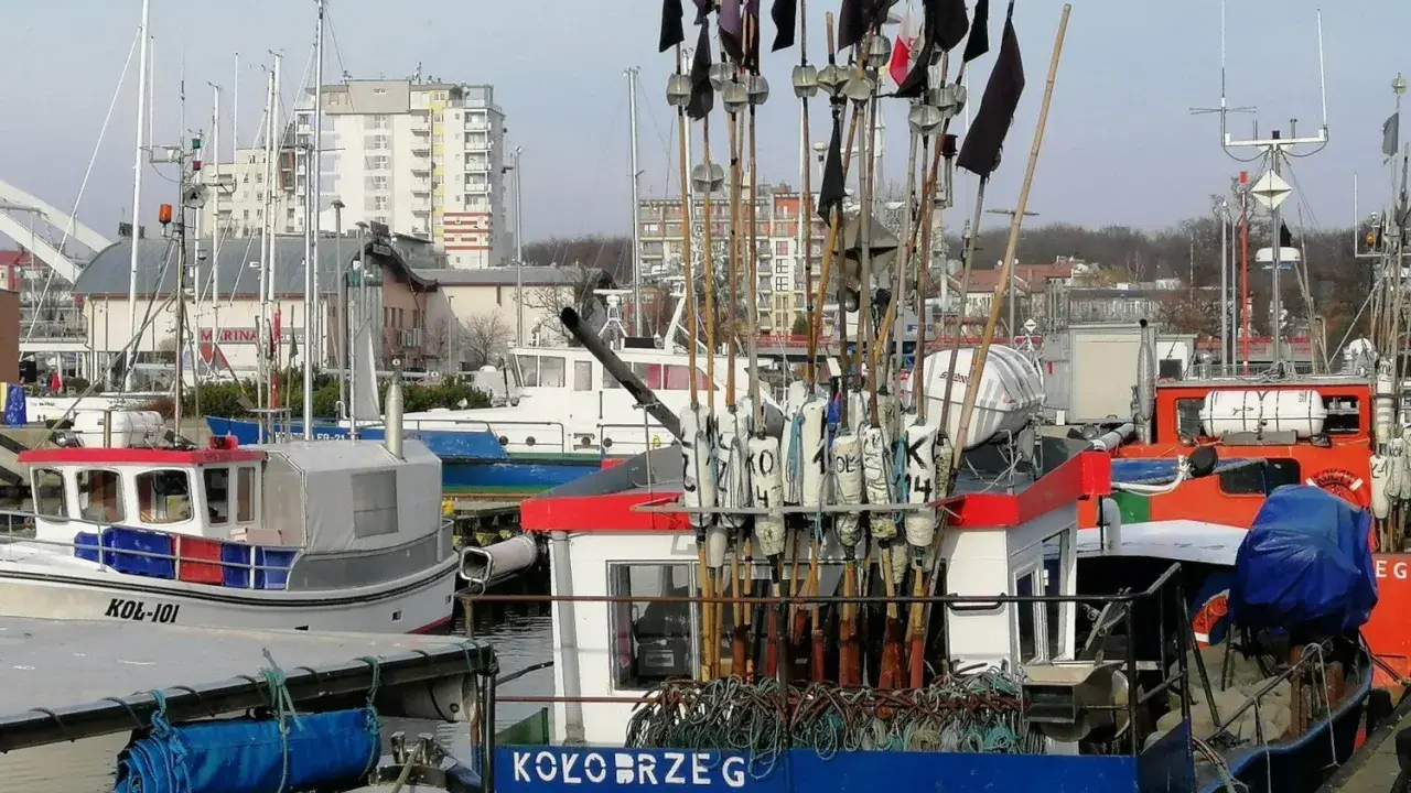 Świeża ryba w Kołobrzegu: Gdzie kupić i jak rozpoznać?