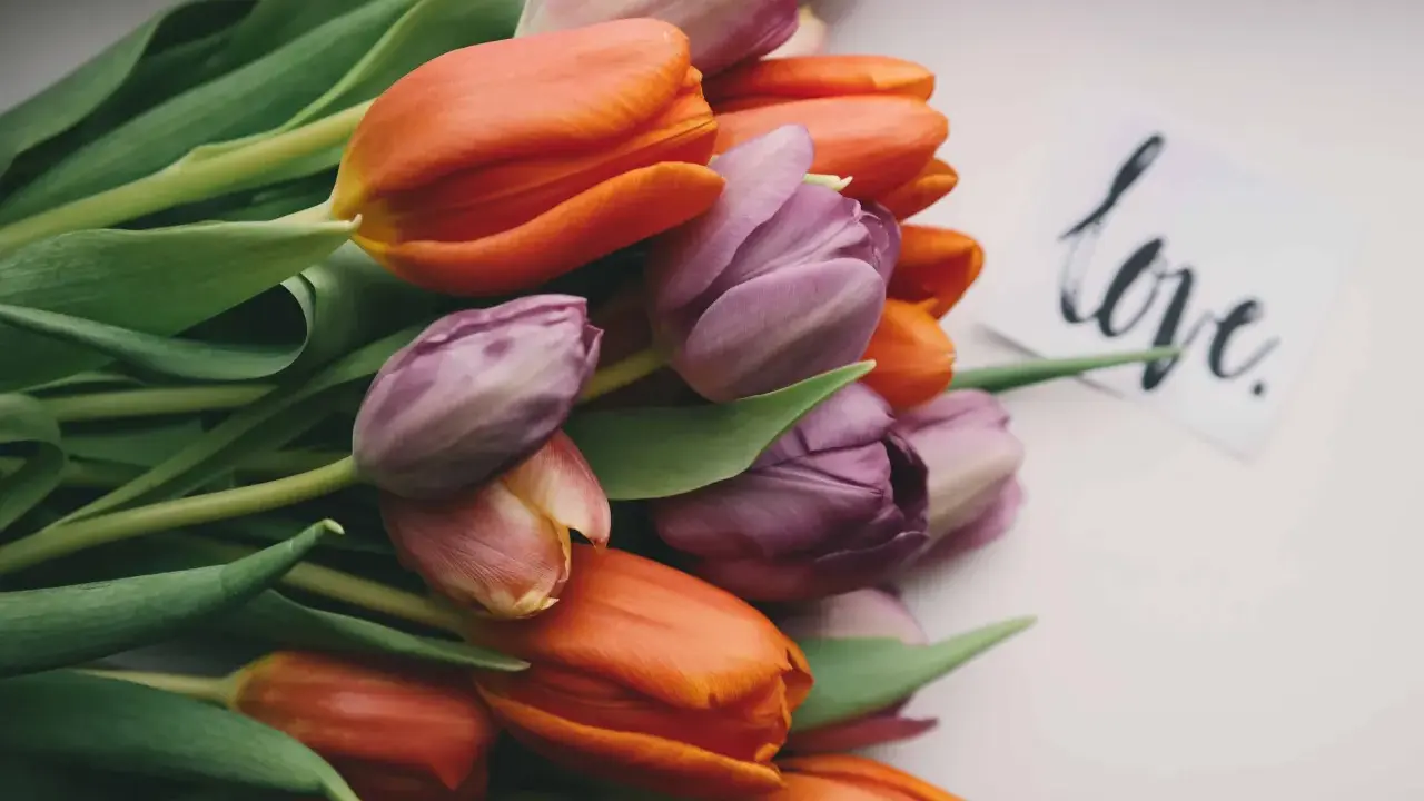 Bukiet pomarańczowych i fioletowych tulipanów z kartką "love". Przypomnienie, jak być dobrym dla siebie.