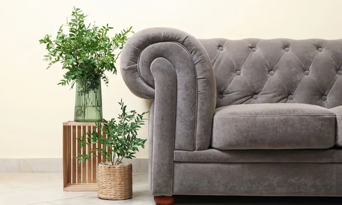 Sofá Chesterfield gris con tapizar de terciopelo, junto a plantas verdes en un jarrón y maceta.