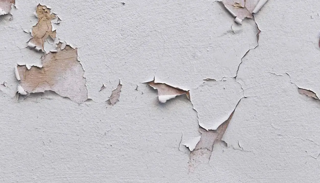 Texture d'un mur où la peinture se décolle comme du plastique, révélant des couches anciennes et la texture du plâtre.