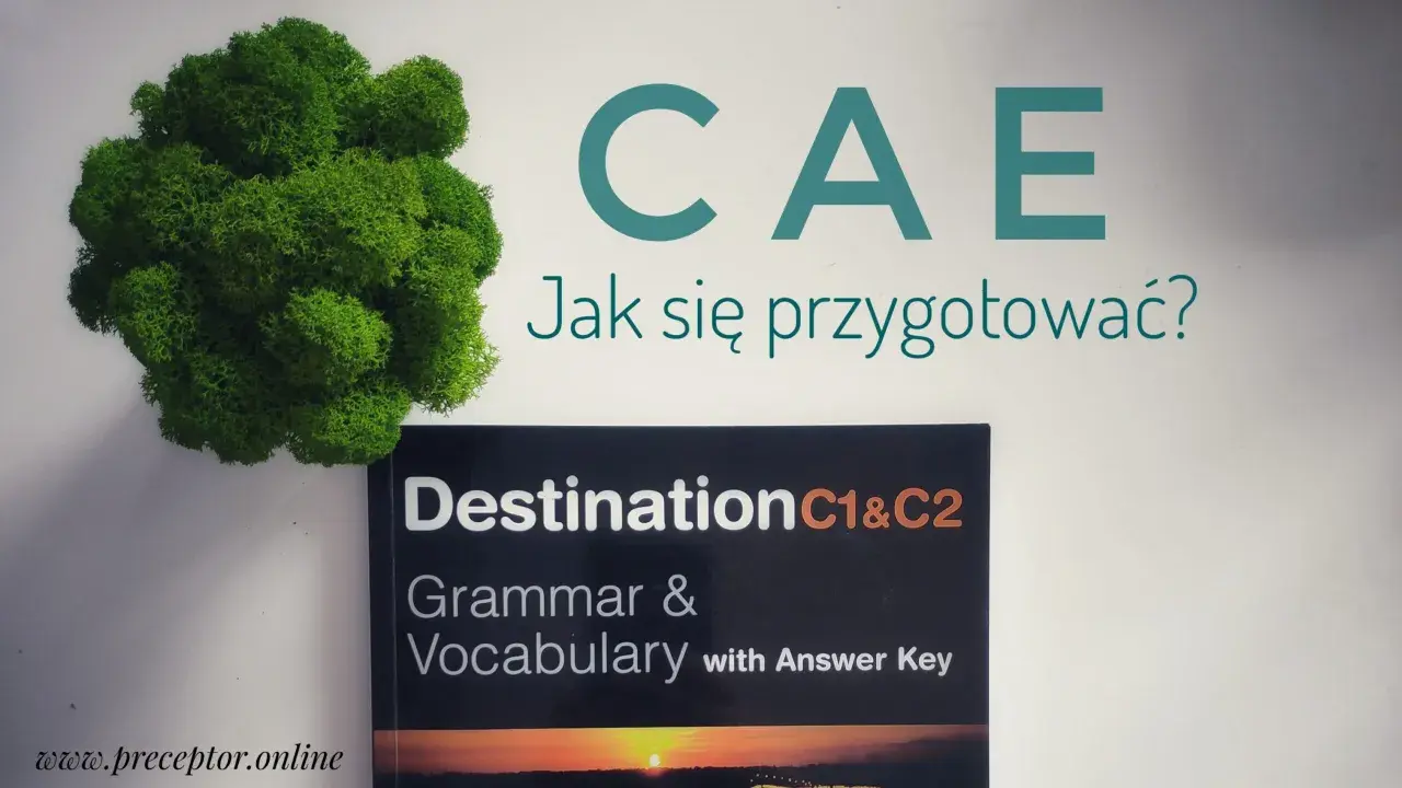 Książka "Destination C1&C2 Grammar & Vocabulary" jako materiał do przygotowania do CAE exam sample. Obok zielony mech.