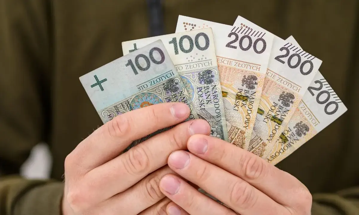 Dłonie trzymają polskie banknoty: 100 i 200 zł. Może to być zwrot OC dla niepełnosprawnych lub po prostu wypłata.