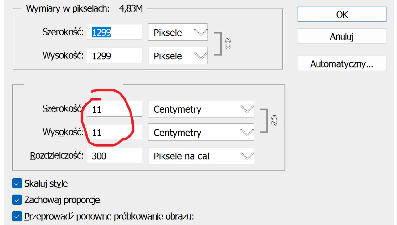 Ustawienia rozmiaru obrazu: 11x11 cm, rozdzielczość 300 dpi. Zachowanie proporcji włączone.