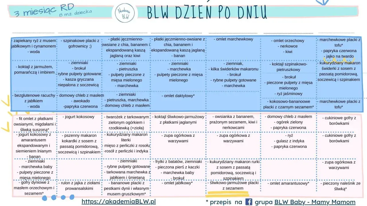 Menu BLW na 3 miesiące: zapiekany ryż, pulpety rybne, omlety, zupy warzywne i inne zdrowe propozycje dla malucha.
