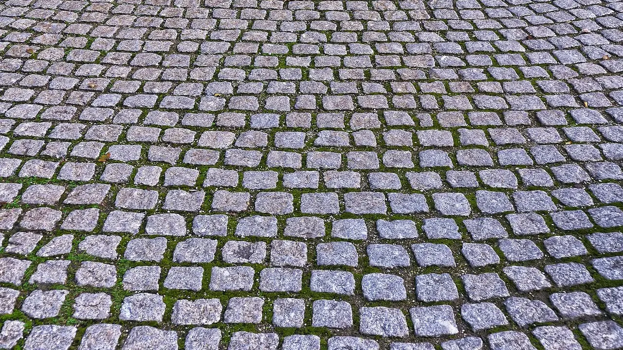 Szara kostka granitowa ułożona na ścieżce, z widocznym zielonym mchem między kamieniami. Fugowanie kostki granitowej suchym betonem zapewnia trwałość nawierzchni.