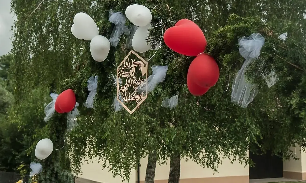 Udekorowana gałąź tworzy bramę weselną. Białe i czerwone balony oraz tiulowe wstążki ozdabiają zielone gałązki.