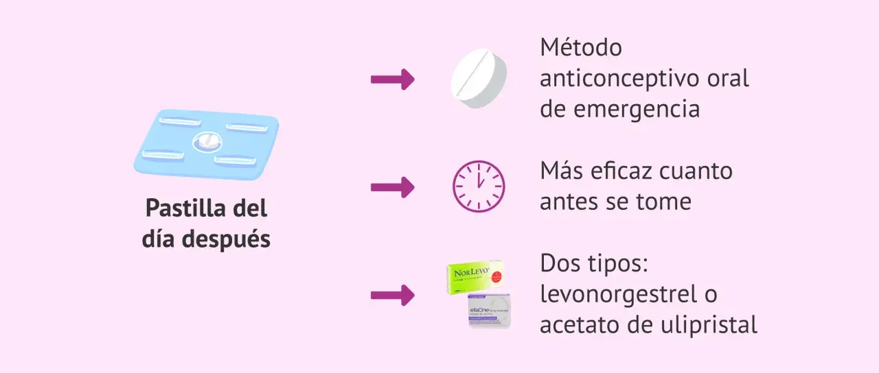 La pastilla del día después es un método anticonceptivo oral de emergencia. Es más eficaz cuanto antes se tome. Hay dos tipos: levonorgestrel o acetato de ulipristal.