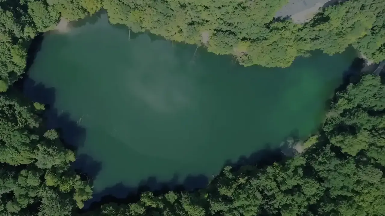 Malownicze jezioro otoczone lasem, ukryte wśród nietypowych atrakcji Szczecina. Idealne miejsce na relaks i podziwianie przyrody.