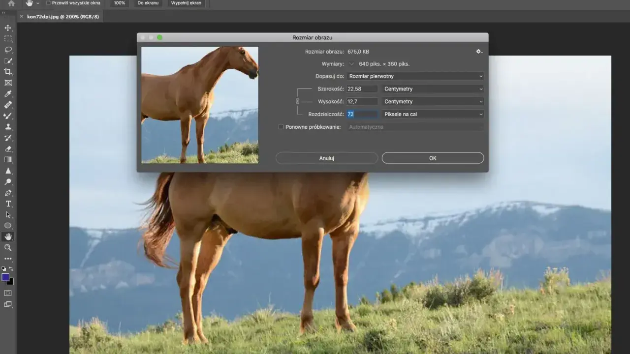 Koń na tle gór. Okno dialogowe "Rozmiar obrazu" pokazuje rozdzielczość 72 piksele na cal (ppi co to).