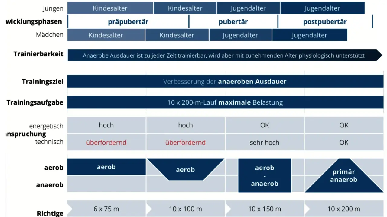 Diagramm zeigt, wie anaerobes Training altersabhängig gestaltet wird, mit Fokus auf die Verbesserung der anaeroben Ausdauer.