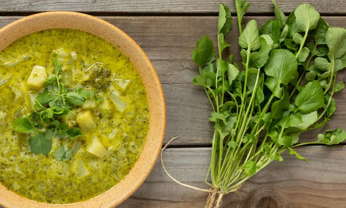 Soupe crémeuse aux pommes de terre et au cresson de para frais, garnie de feuilles vertes.