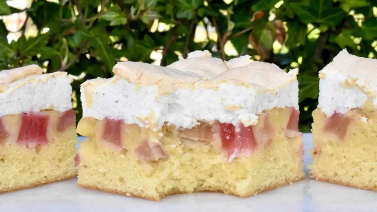 Saftig rabarberkaka i långpanna med fluffigt marängtäcke. Perfekt för fikat utomhus bland grönska.