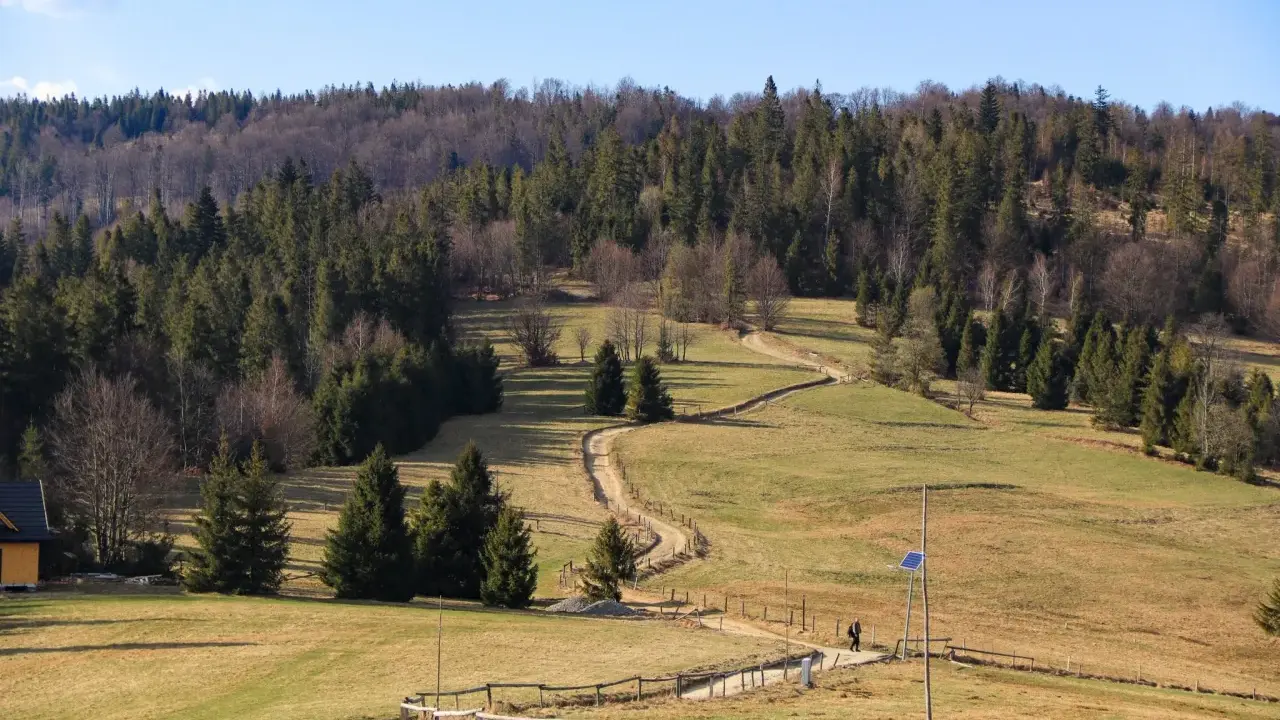Kręta ścieżka prowadzi przez zieloną halę boracza, otoczoną gęstym lasem. W oddali widać samotnego turystę.