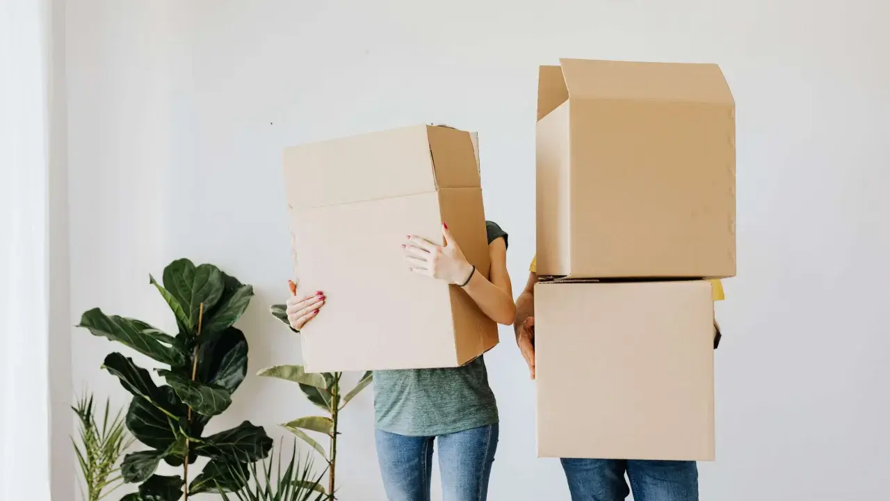 Pareja con cajas de mudanza, como si fueran cabezas, frente a plantas. Cumpliendo con el articulo 22.4 lec.