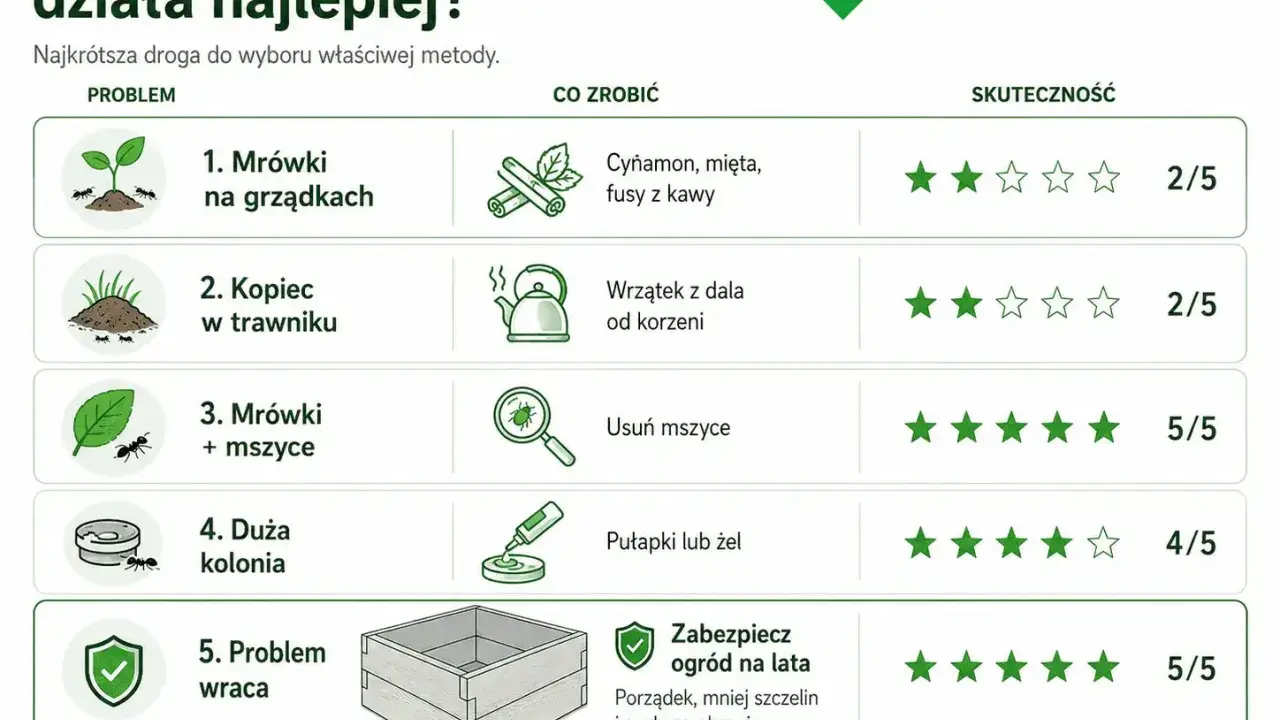 Tabela porównuje metody walki z mrówkami w ogrodzie. Skuteczne sposoby na mrówki to m.in. usuwanie mszyc (5/5) i zabezpieczenie ogrodu na lata (5/5).