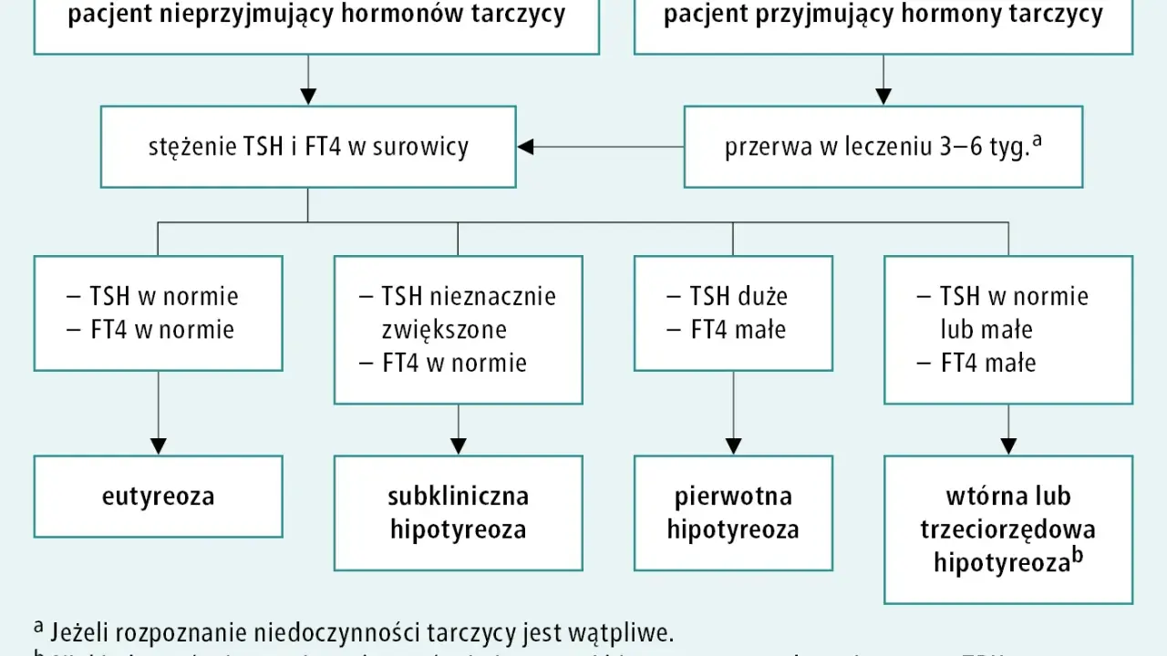 Schemat diagnostyki niedoczynności tarczycy, uwzględniający nowy lek. Analiza TSH i FT4 pomaga rozpoznać stan pacjenta.